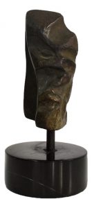 differentiation-of-the-face-17x5x5-1997-diorite-stone